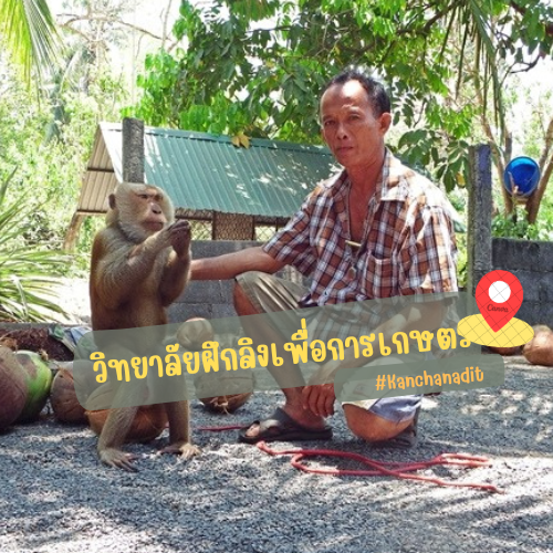 วิทยาลัยฝึกลิงเพื่อการเกษตร